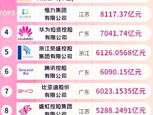 2024年最新中國十大民營企業(yè)營收數(shù)據(jù) 京東、阿里、恒力集團(tuán)居前三名