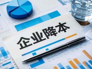 企業(yè)降低成本的方法和方向：標(biāo)準(zhǔn)降本、預(yù)算降本、結(jié)構(gòu)降本、技術(shù)降本、規(guī)模降本、效率降本、政策降本、機(jī)制降本